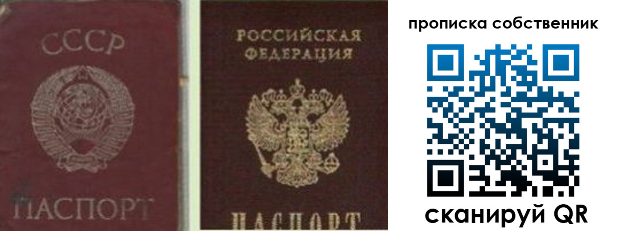 прописка 2025 в Солнечногорске